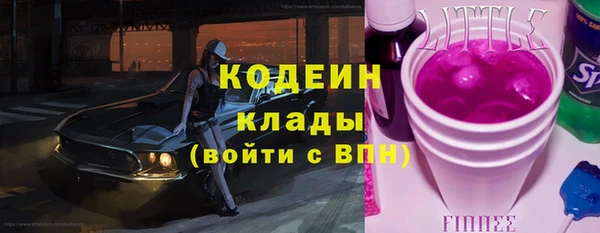 ГАЛЛЮЦИНОГЕННЫЕ ГРИБЫ Каменка