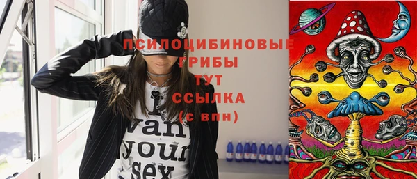 a pvp Алексин