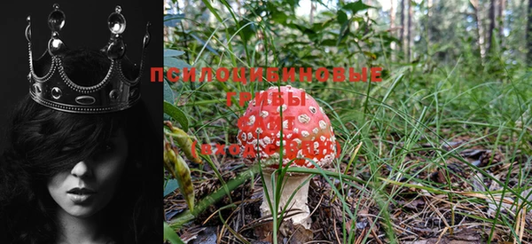кокс Вяземский