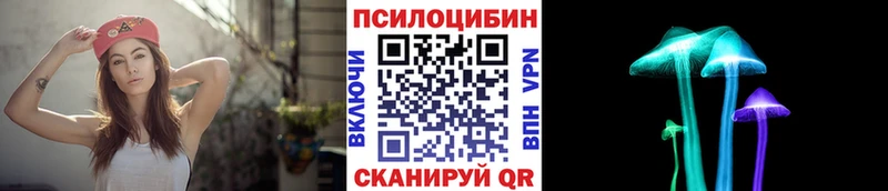 магазин    Волжский  Галлюциногенные грибы Cubensis 